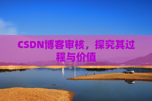 CSDN博客审核，探究其过程与价值